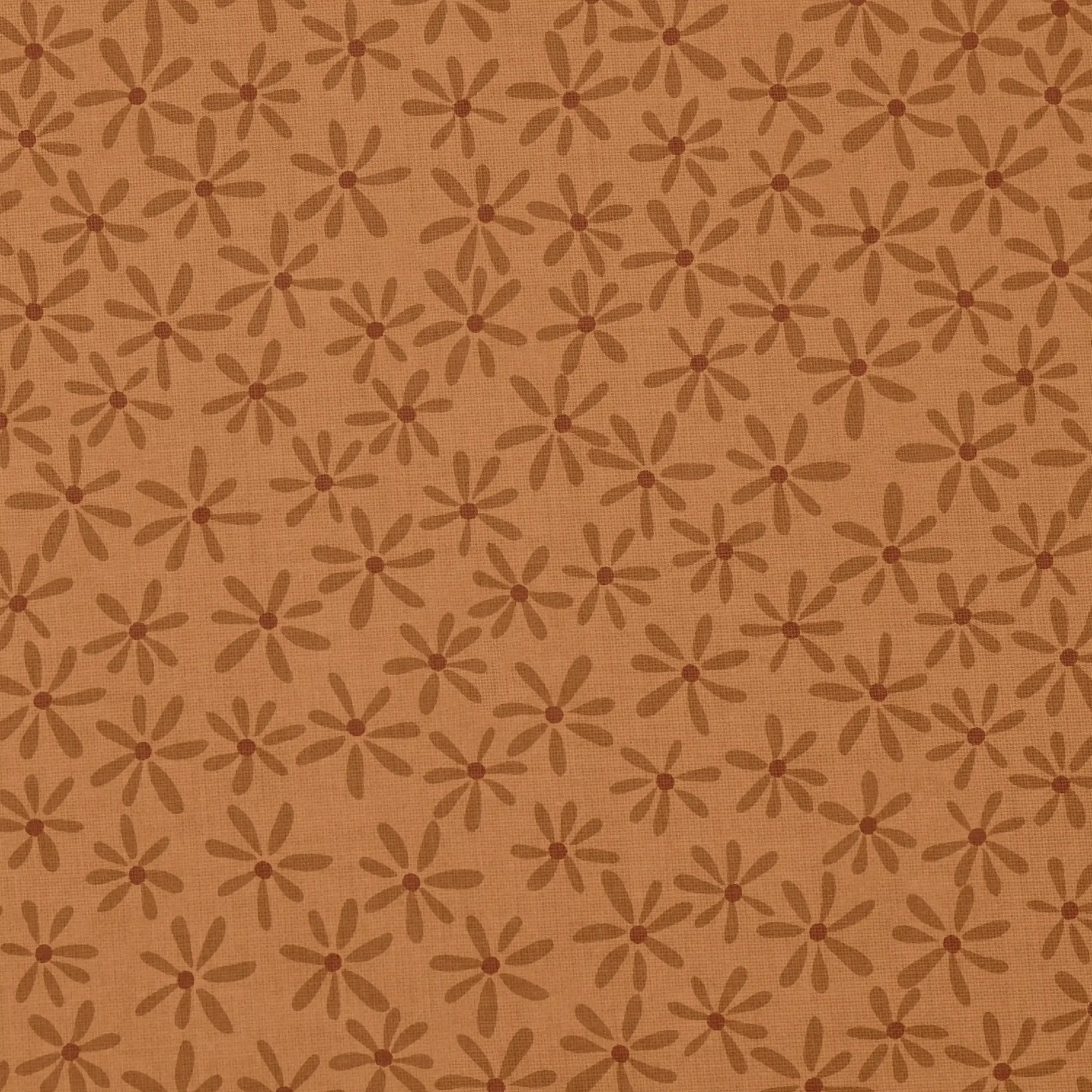 All in One Cottonwood Valley - Panel de fat quarters - Imagen 10